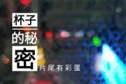 桂林饭店爆料视频最新,揭秘幕后真相与争议