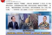 凤梨爆料视频大全集最新,揭秘娱乐圈幕后真相