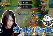 张大仙爆料猴子视频大全,猴子视频大全背后的精彩故事