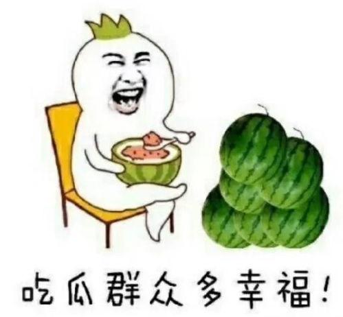 吃瓜的娱乐